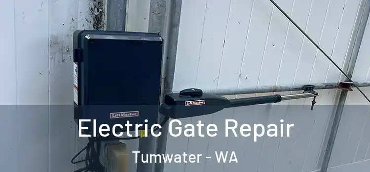 Electric Gate Repair Tumwater - WA