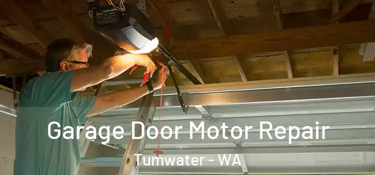  Garage Door Motor Repair Tumwater - WA