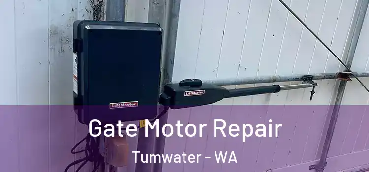 Gate Motor Repair Tumwater - WA