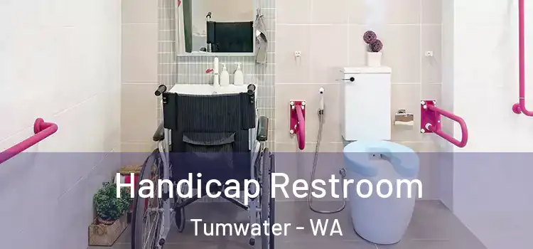 Handicap Restroom Tumwater - WA