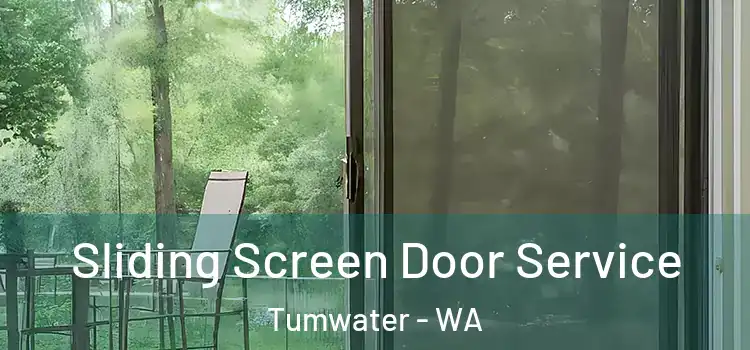 Sliding Screen Door Service Tumwater - WA